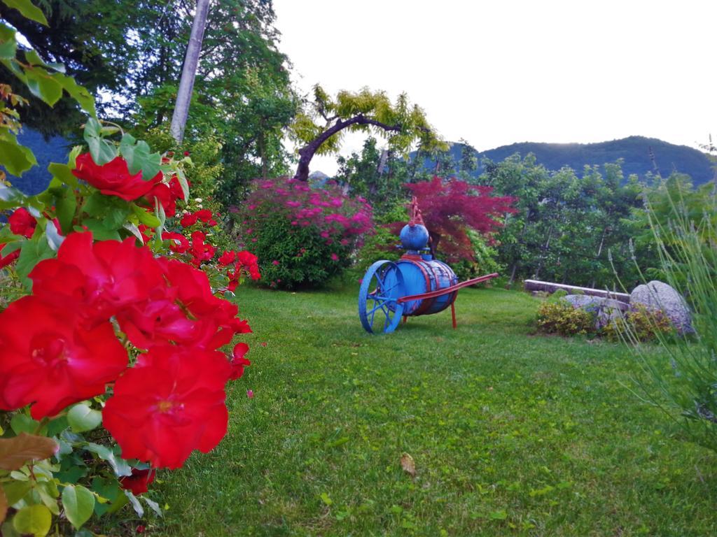 Вілла Agritur Leita Туенно Екстер'єр фото